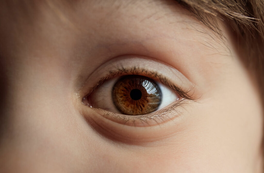 
A close-up of a human eye with a brown iris.